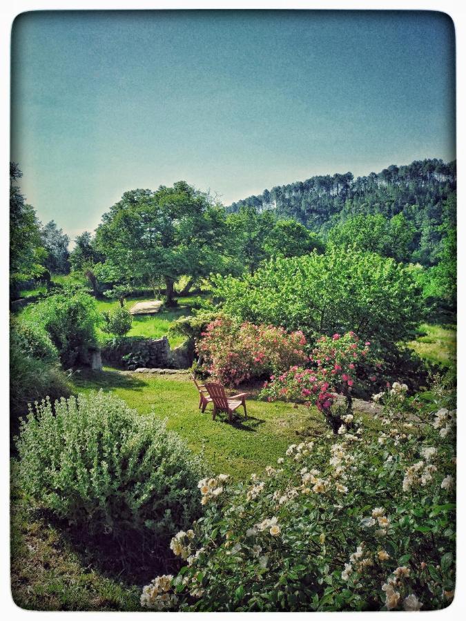 Hélianthy- Gîte 10 personnes en Sud Ardèche Sanilhac  Extérieur photo